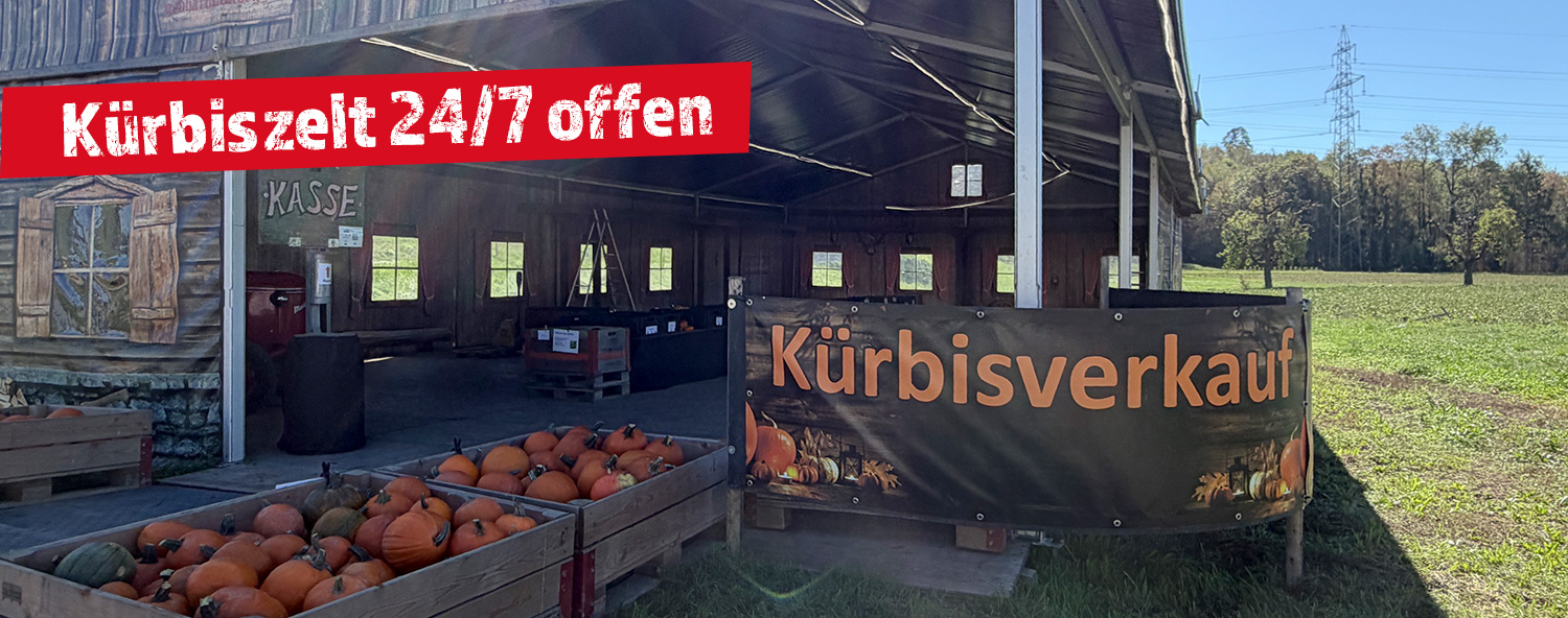 Kürbiszelt offen - Wildegg 2026